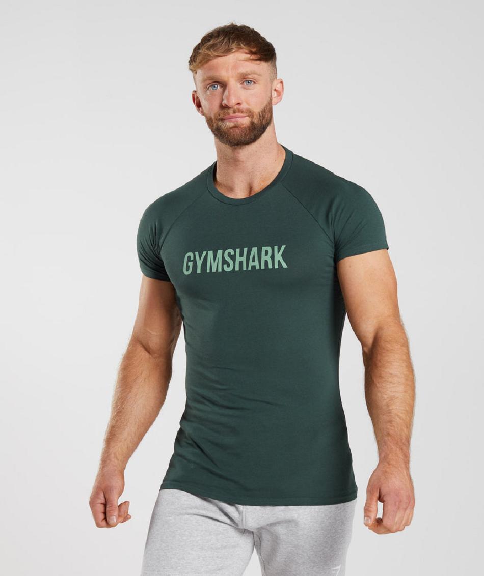 Gymshark Apollo Muške T Shirts Obsidijanske Zelene | HR 2426VRW